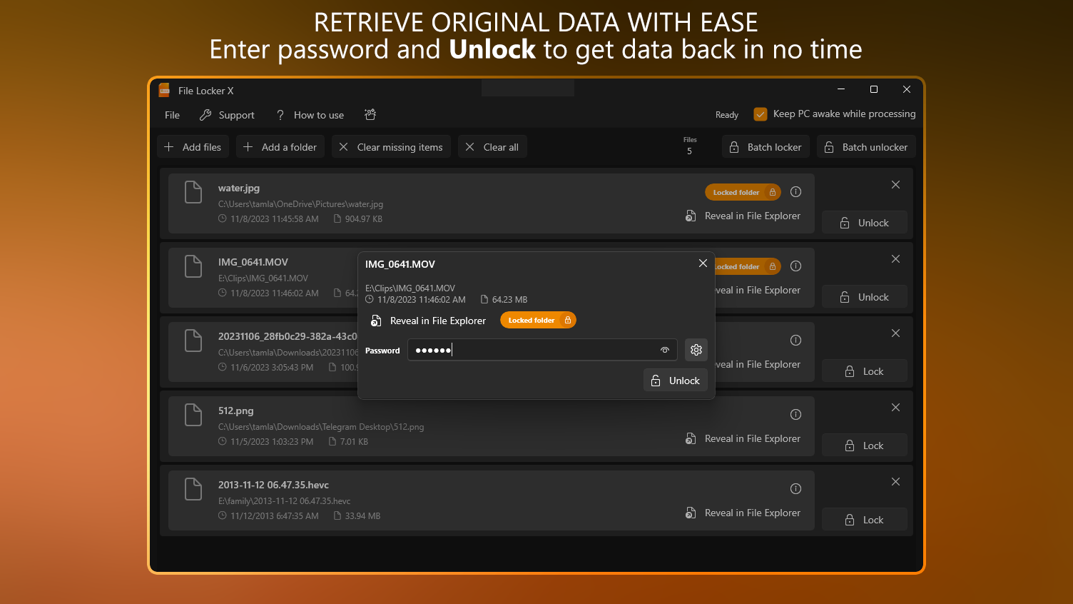 Retrieve Original Data With Ease - Enter password and Unlock to get data back in no time