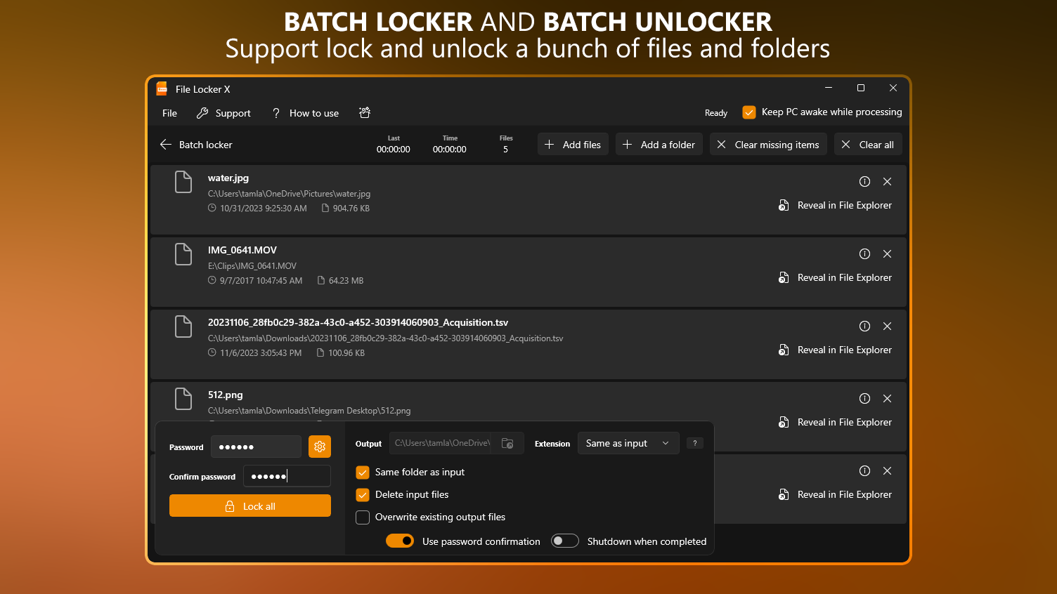 Batch Locker And Batch Unlocker - Support lock and unlock a bunch of files and folders