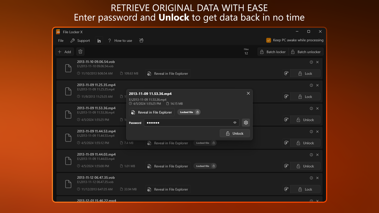 Retrieve Original Data With Ease - Enter password and Unlock to get data back in no time