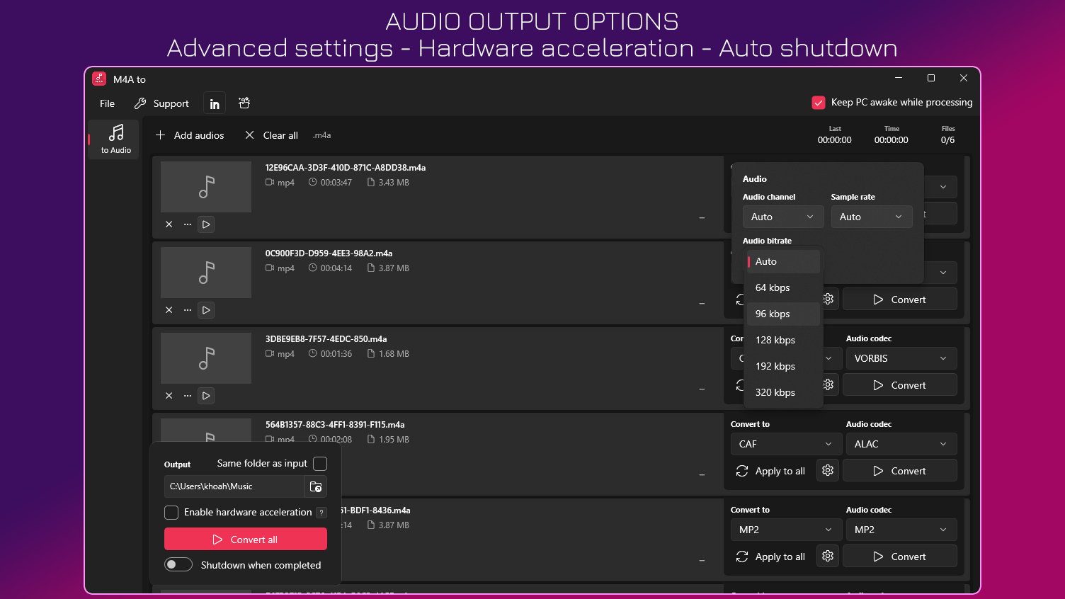 Audio Output Options - Advanced settings - Hardware accelerator - Auto shutdown