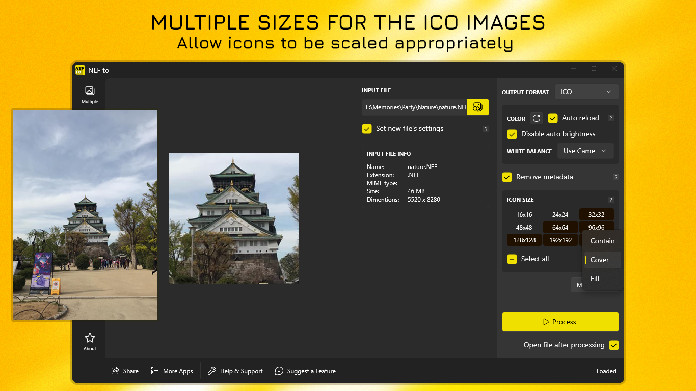 Multiple Sizes of ICO Images - Allow icons to be scaled appropriately.
