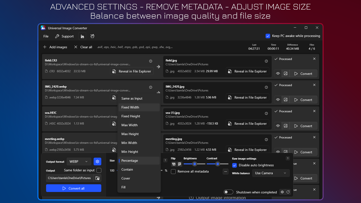 Advanced Settings - Remove Metadata - Adjust Image Size - Balance between image quality and file size