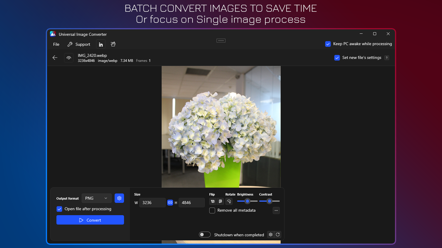 Batch Convert Images To Save Time - Or focus on Single image process