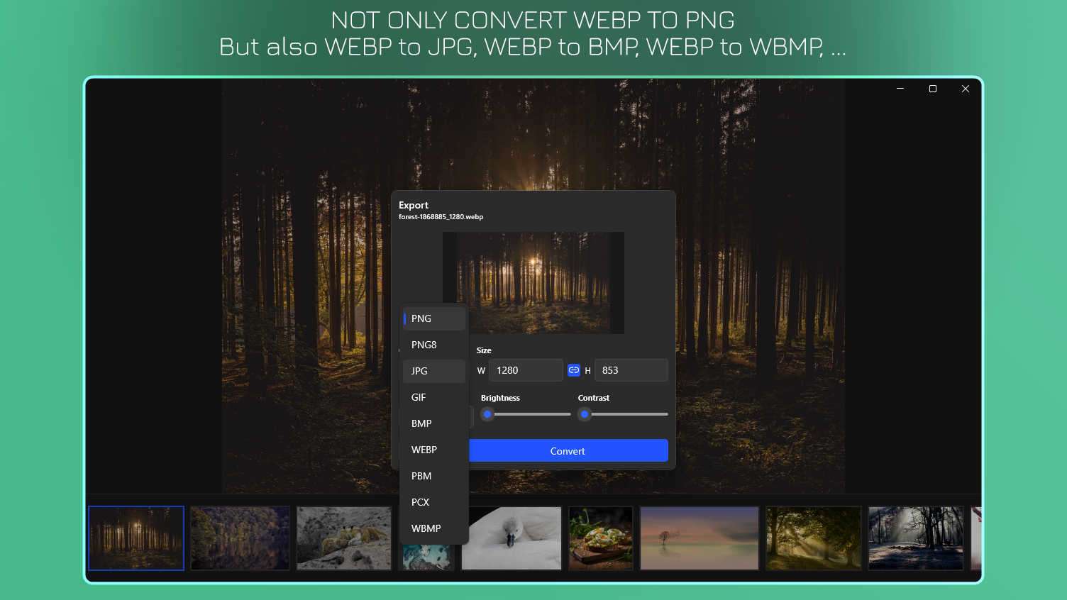 WebP Viewer - WebP to JPG