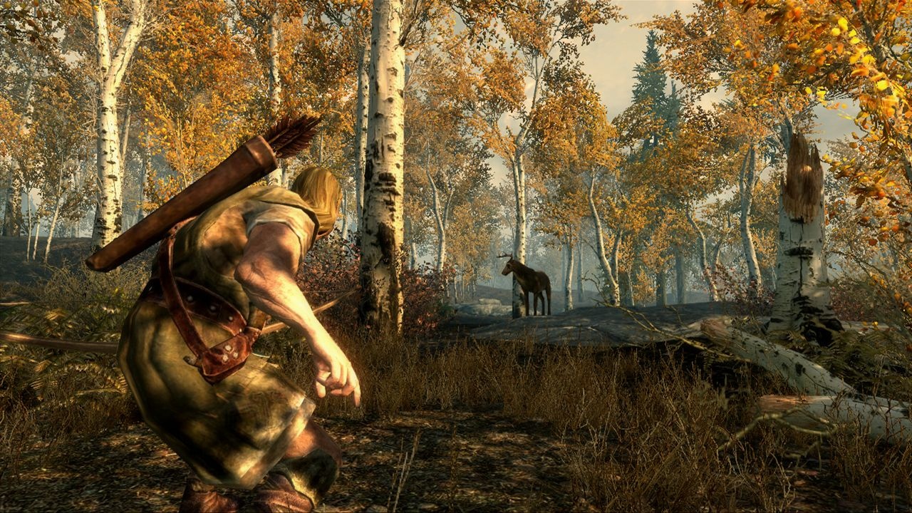 The Elder Scrolls: Skyrim (2011)