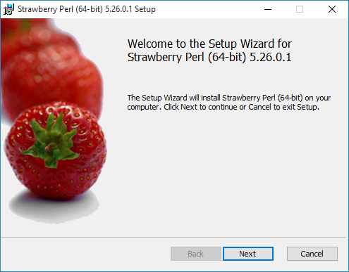 install-perl-step-1