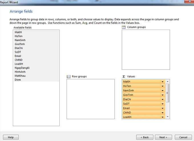 WPF report viewer tutorial .Net