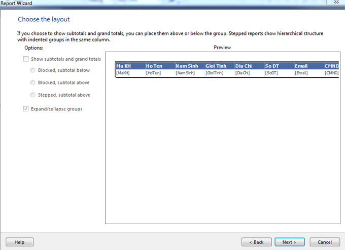 WPF report viewer tutorial .Net