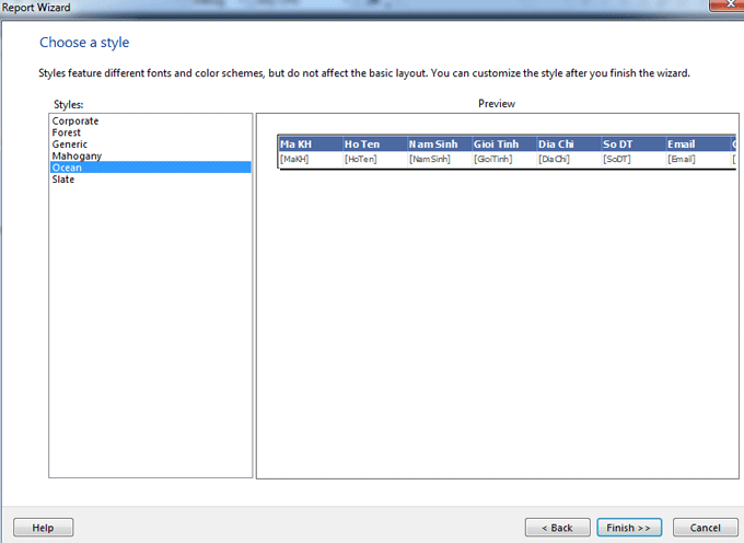 WPF report viewer tutorial .Net